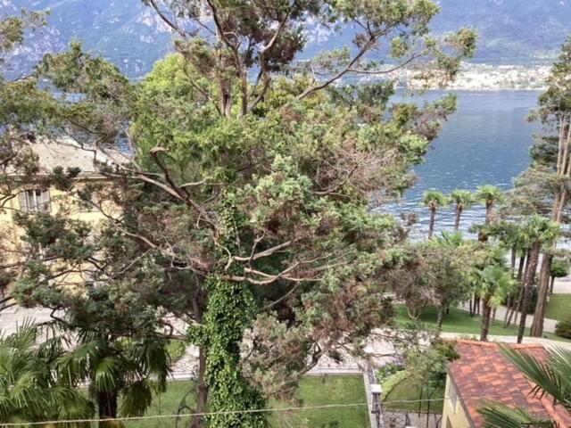 Wonderful Lake Front Appartment Near Bellagio Limonta Екстериор снимка
